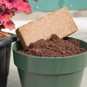 Coir Pith Block
