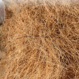 Coir Fibre